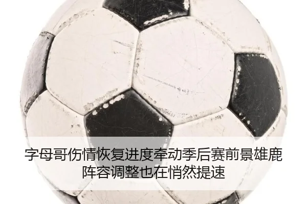字母哥伤情恢复进度牵动季后赛前景雄鹿阵容调整也在悄然提速